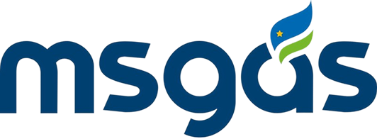 https://msgas.com.br/